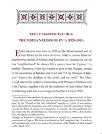 The Homilies of Metropolitan Neophytos of Morphou, Vol. I